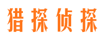 秦都市调查公司